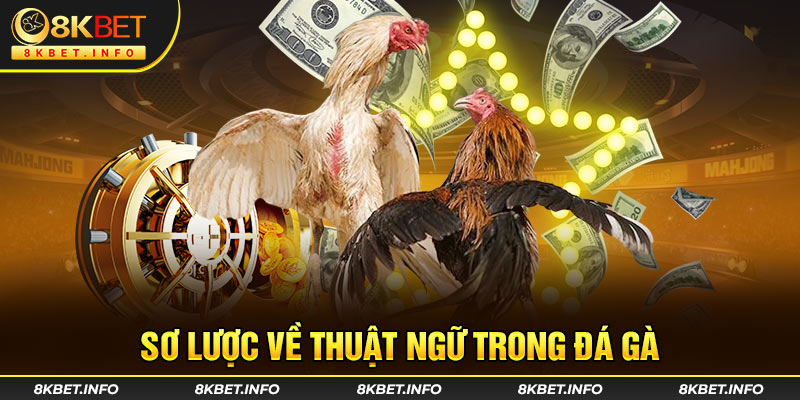 Sơ lược về thuật ngữ trong đá gà