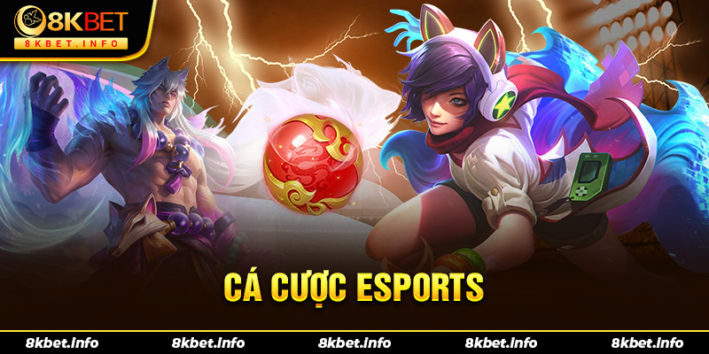 Cá độ esports nhận được sự đánh giá tích cực của người chơi tại sảnh thể thao 8kbet