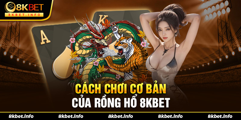 Tân binh cần nắm rõ cách chơi cơ bản của Dragon Tiger