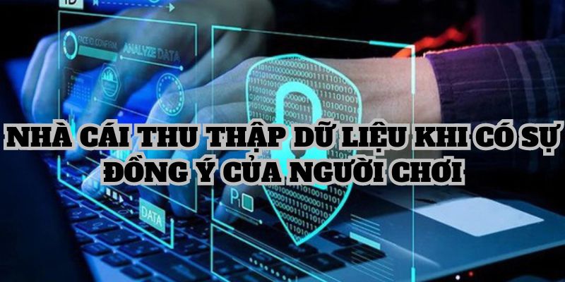 Nhà cái thu thập dữ liệu khi có sự đồng ý của người chơi 